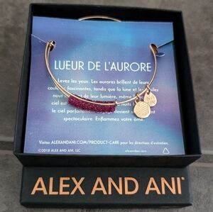 3/$30 Alex and Ani bracelet